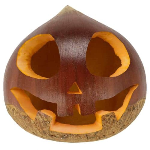 A chestnut with the face of a jack-o'-lantern
