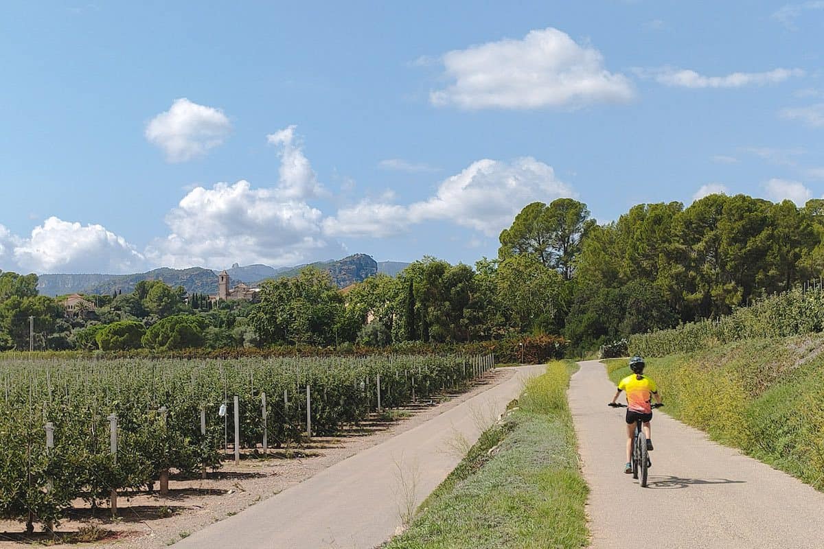 A person cycling the olive oil route in Tarragona