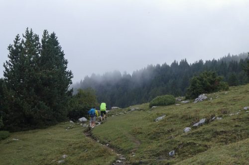 Two people crossing a forest during the third day of the Cavalls del Vent hike